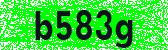 Click to reload image
