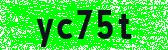 Click to reload image