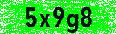 Click to reload image