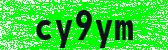 Click to reload image
