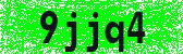 Click to reload image
