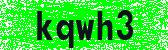 Click to reload image