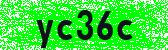 Click to reload image